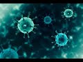 BACTERIA AND VIRUSES