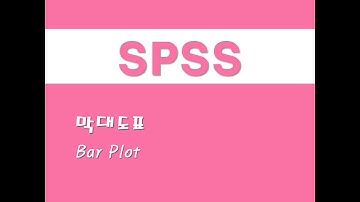 SPSS를 활용한 그래프 - (28) 막대도표(Bar Plot)