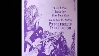 Various – Take A Trip, Freak Out, Blow Your Mind, Get On Your Way To The Psychedelic Underground LP