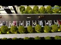 custom 1:250 scale high-end apartment architectural model with led lighting