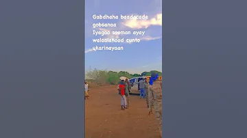 Cimaanadleyda Badicade Oo Soo Garay Dadgamada Jalalaqsi 