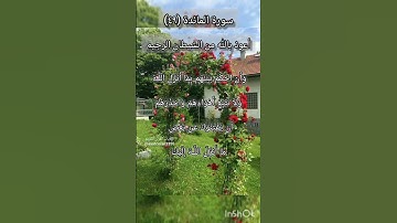 سورة المائدة الآية ٤٩ ¹