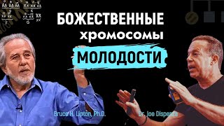 Божественные Хромосомы: Духовная Матрица Вечной Молодости - Брюс Липтон - Джо Диспенза