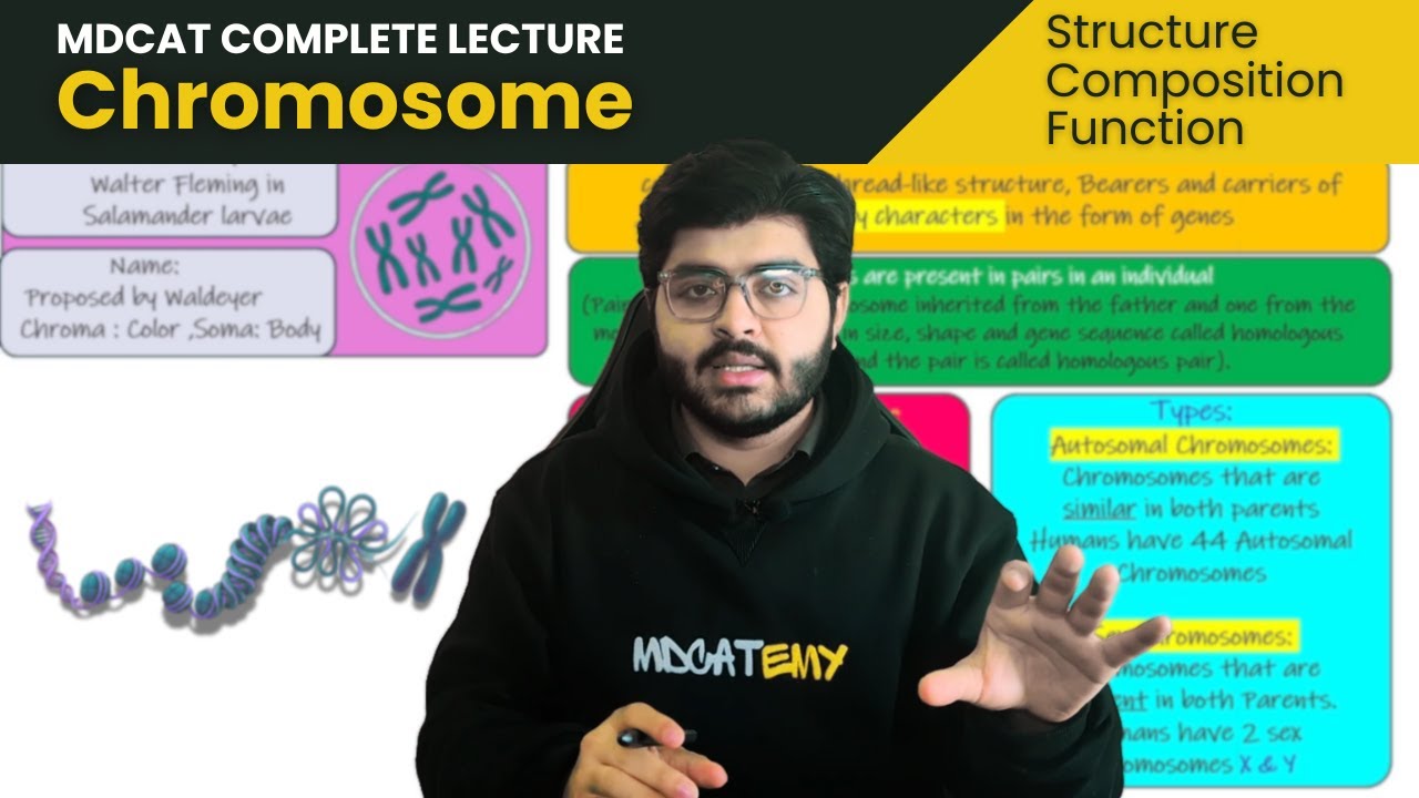 Chromosome Structure, Chemical Composition & Organization | Complete MDCAT Biology Lecture