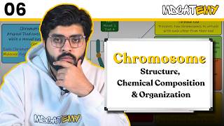 Chromosome Structure | Chapter 01, Lecture 06 | MDCAT Biology By Hayan Khan