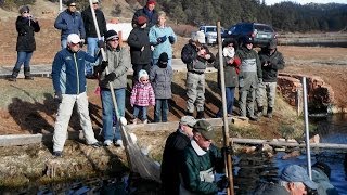 Rainbow Falls Mountain Trout Stocking Day March 2014