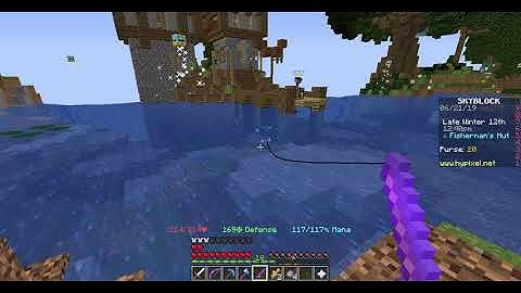 Hypixel Skyblock Bug Report #2