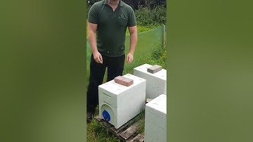 Feeding fondant in our new 2 in 1 Poly Nuc Box - BSHoneyBees.co.uk