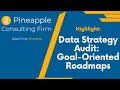 Data Strategy Audit - Highlight