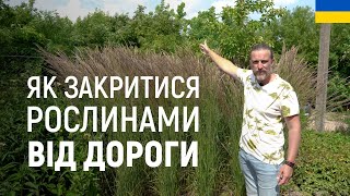 картинка: ЛАНДШАФТНИЙ ДИЗАЙН | ЯК ЗАКРИТИСЯ РОСЛИНАМИ ВІД ДОРОГИ