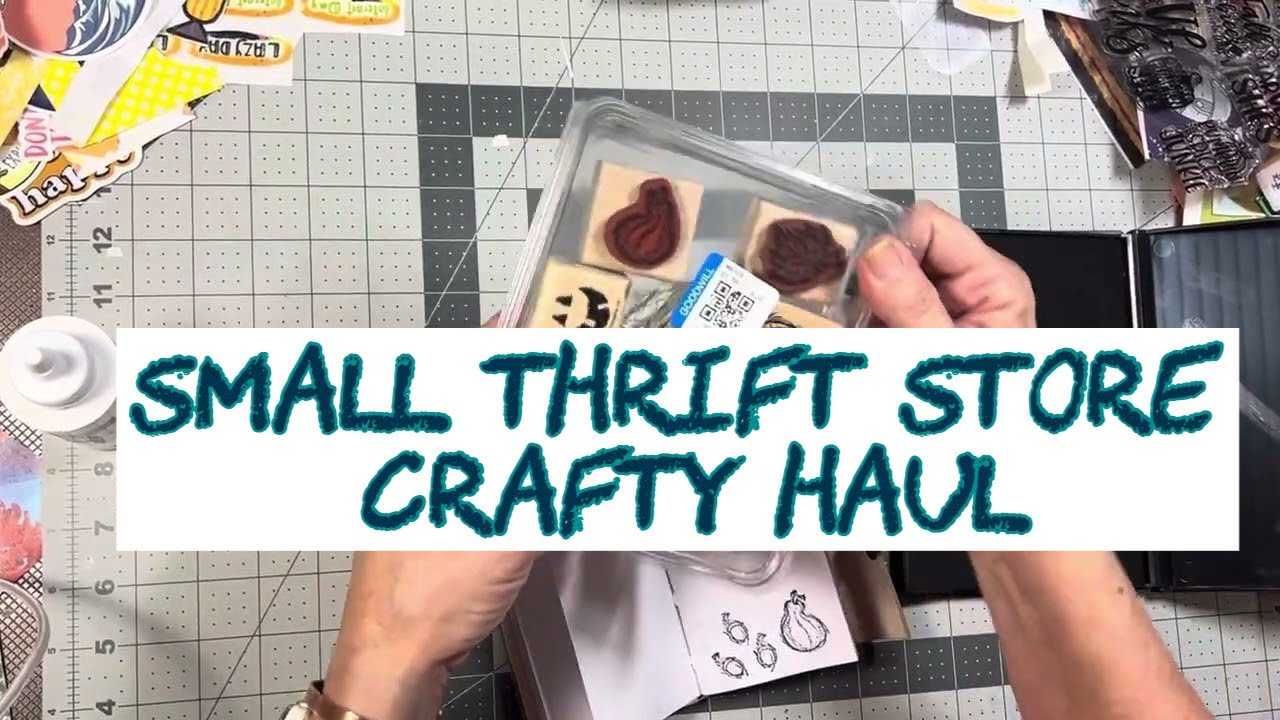 Small thrift haul and a crafty project 