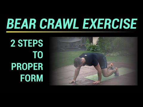 Bear Crawl: How To (2 steps to proper form)