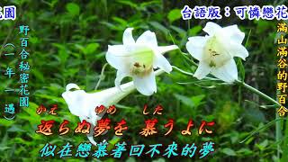 十代の恋よさようなら(少年的戀情再見啦)1957[日語~神戶一郎+翻譯)銘哥翻唱[台語版~可憐戀花再會吧(洪一峰)]