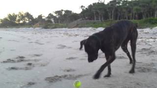 20130529_195959.mp4