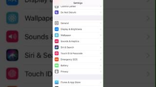 Respring iOS 11 public beta 2 using bug screenshot 2