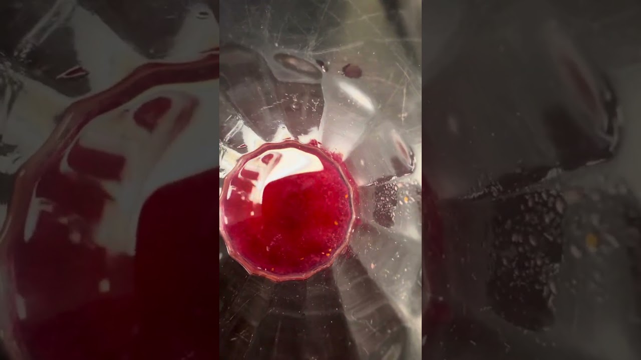 Annetta’s Blueberry DNA extraction! 12/4/25 