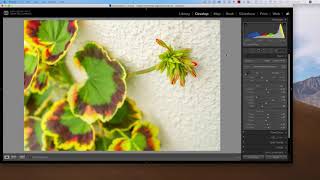 Make your OWN Profiles for Lightroom.