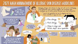 2023 AAHA Management of Allergic Skin Diseases in Dogs and Cats Guidelines Summary