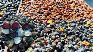 របៀបធ្វើលៀសហាលឆ្ងាញ់ How to make delicious sun dried clams