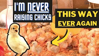 Easiest/Cleanest Way to Brood Chicks