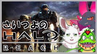 【新人Vtuber】さいつよでHalo【元吸血鬼ドラゴン系Vtuber】