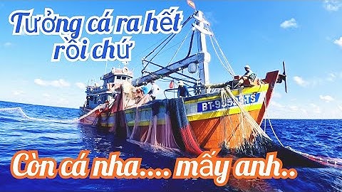 Lâu Lắm Mới Đánh Được Bầy Cá Ngừ, Tưởng Cá Ra Hết Rồi Chứ | Đánh Cá 2025-Tập39 | Sóng Biển Hứa Đông
