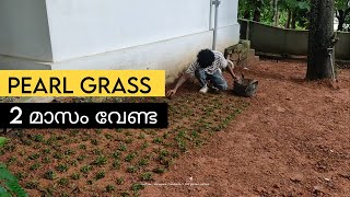 2 മാസം വേണ്ട pearl grass ന് | LEAF at Chengannur