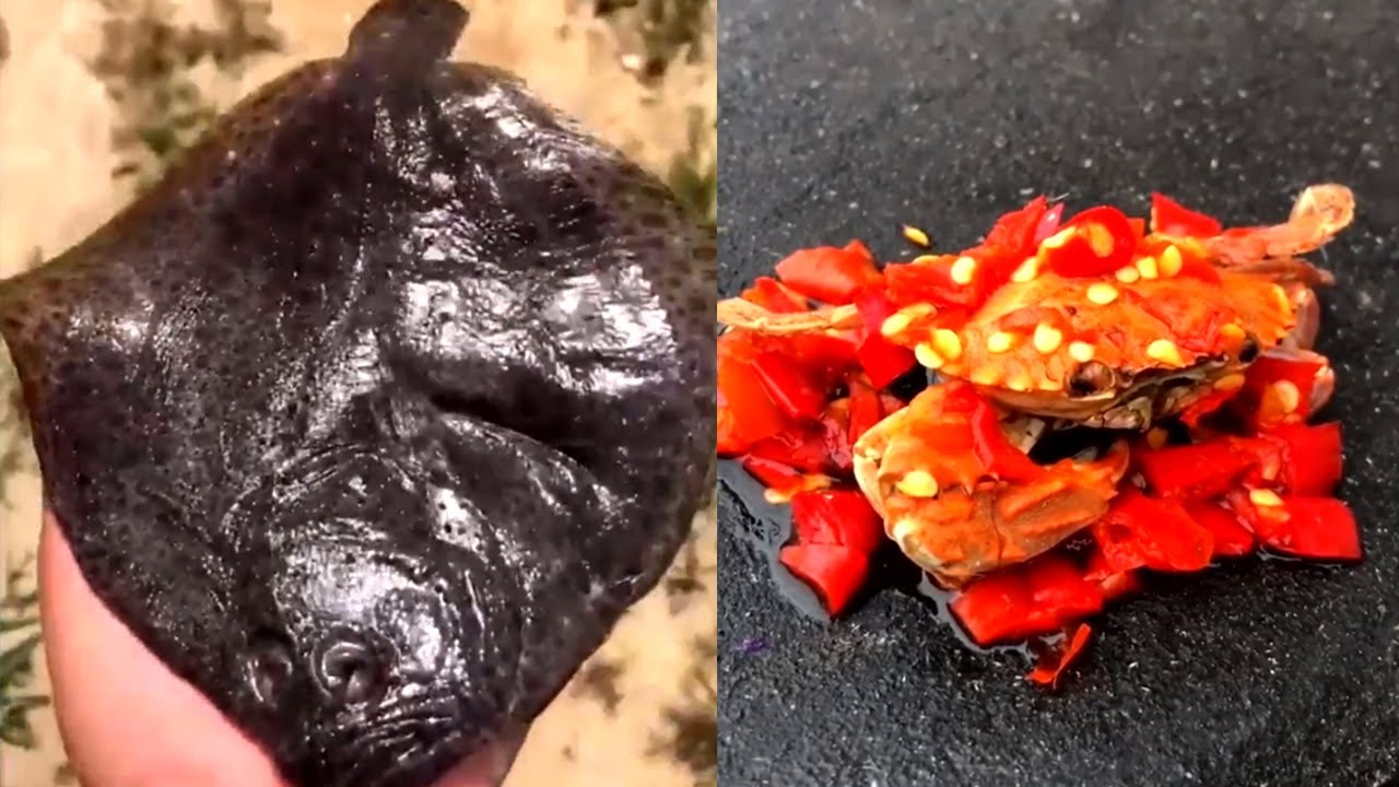 when you don't have money but still want to eat seafood everyday