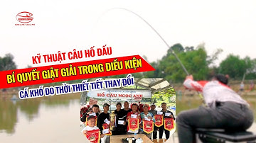 Kỹ thuật câu hố đấu - Bí quyết giật giải trong điều kiện cá khó do thời thiết tiết thay đổi