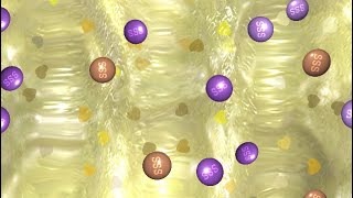 Super Slime Simulator| Lemon Candy screenshot 3