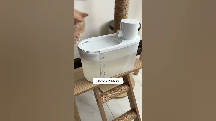 Encourage Your 🐈 To Drink More 💕 - DayDayNews
