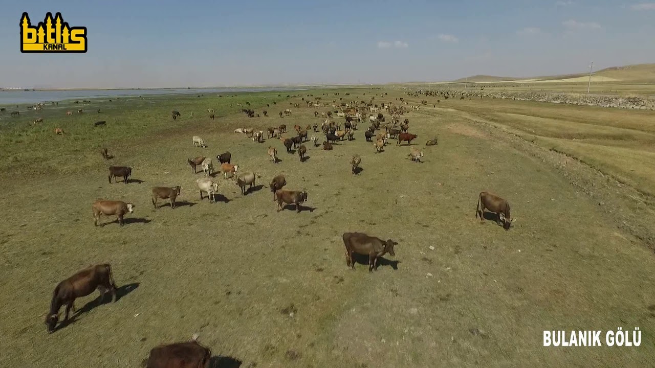 Bulanık (Haçlı) Gölü - Bulanık/MUŞ