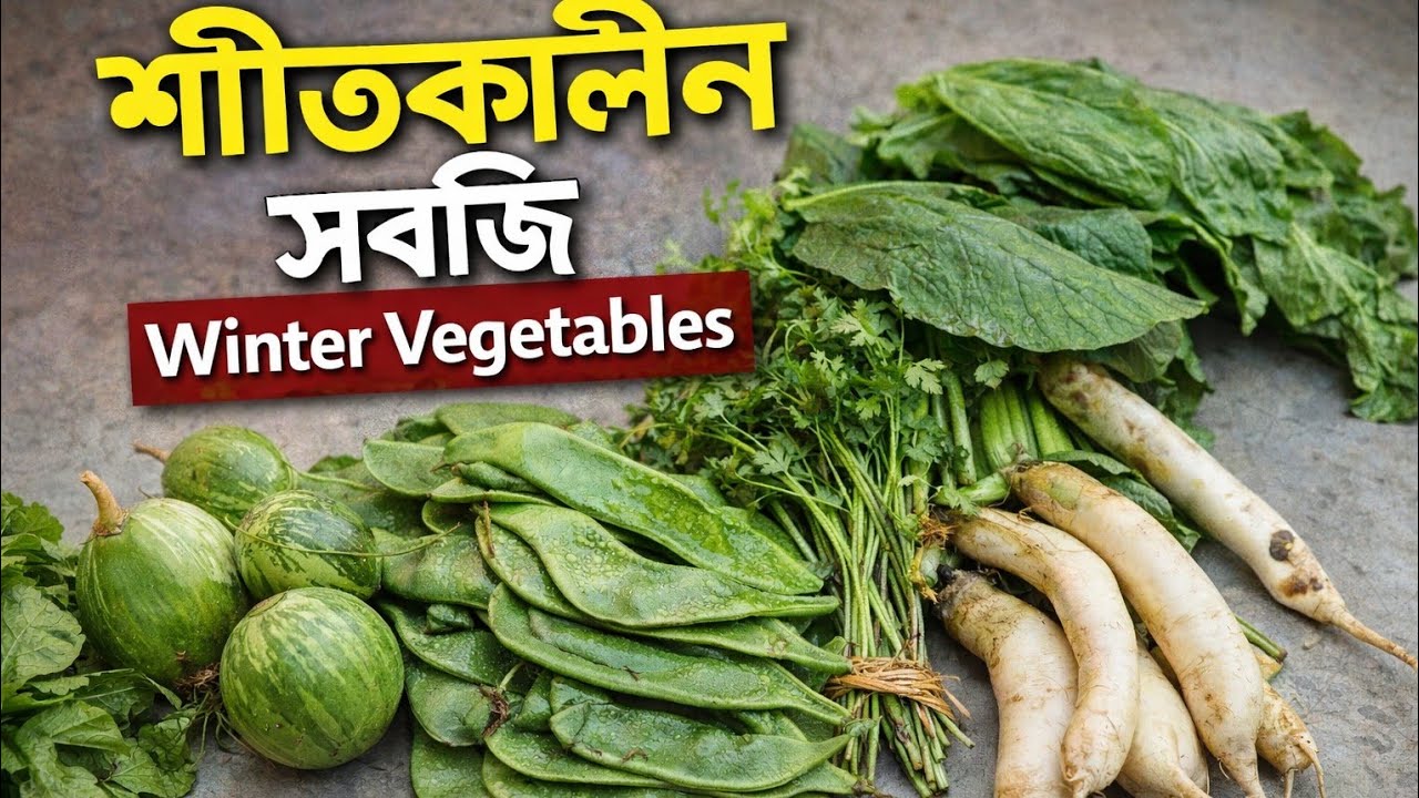 শীতের টাটকা সবজি | Fresh Winter Vegetables in Bengali