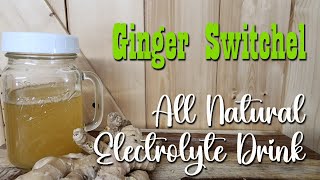 Ginger Switchel ~ All Natural Electrolyte Drink by Homestead Corner 2,802 views 1 month ago 8 minutes, 18 seconds