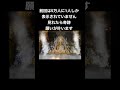 見れたら奇跡願いが叶います