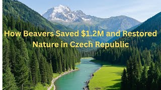 How Beavers Saved $1.2M & Restore Nature in Czech Republic #beavers #wildlifeconservation#Rewilding