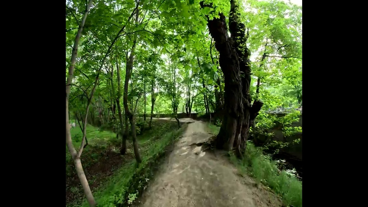 GoPro HERO 11 Black Square Video Test | 4K 10-bit Original Samples