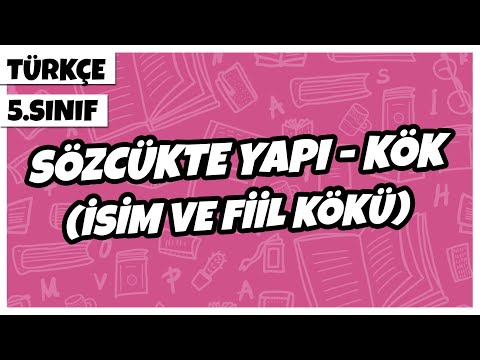 5. Sınıf Türkçe - Sözcükte Yapı - Kök (İsim ve Fiil Kökü) | 2022
