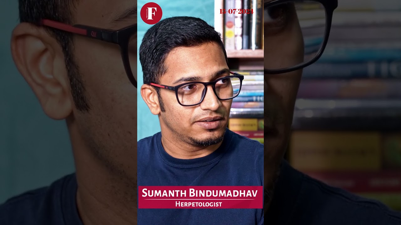 'Every hour, six people die of snake bite in India': Herpetologist Sumanth Bindumadhav.