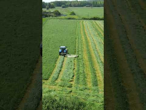 Gras schneiden -