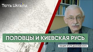 "TU"  Игорь Данилевский. Половцы и южные княжества Киевской Руси: история и стереотипы