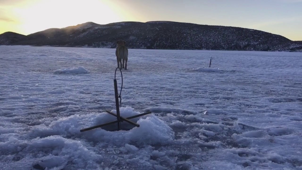 Ice fishing at Magic Reservoir, Idaho YouTube
