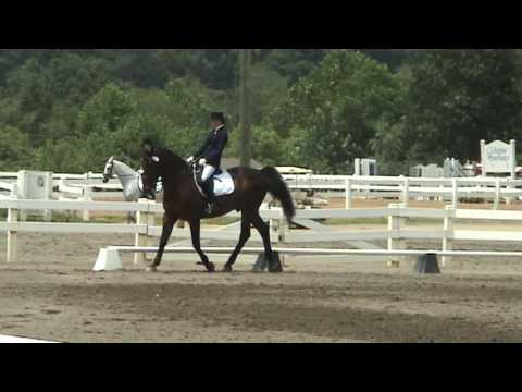 3rd level test 3 Adriane Alvord and Dreamboy