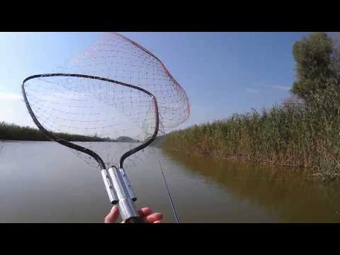 Мумра- Ловля сазана - carp fishing