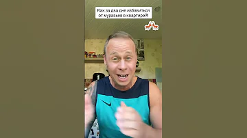 Как за два дня избавиться от ￼ муравьёв в квартире?!￼#лайфхаки #обучение #советы #рек#bobbygrant690