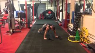 Ankorr training in dublin