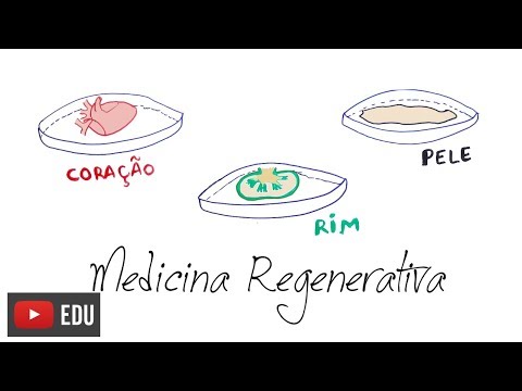 Vídeo: A Detecção E Eliminação Do Micoplasma São Necessárias Para A Aplicação De Células-tronco Da Papila Apical Dental Humana à Engenharia De Tecidos E Medicina Regenerativa