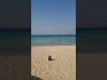 Beach and Sea Pyramisa RESORT Sahl Hasheesh Hurgada EGYPT #shorts
