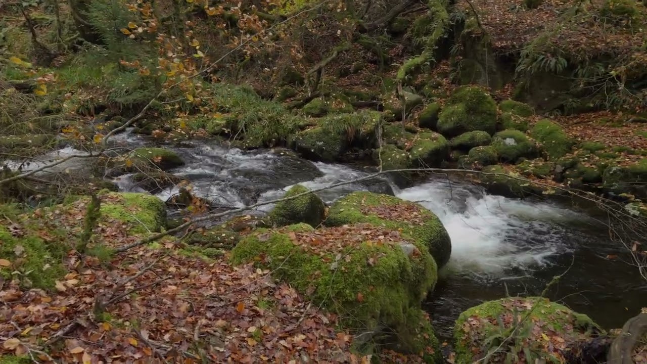 Autumn at Norsworthy