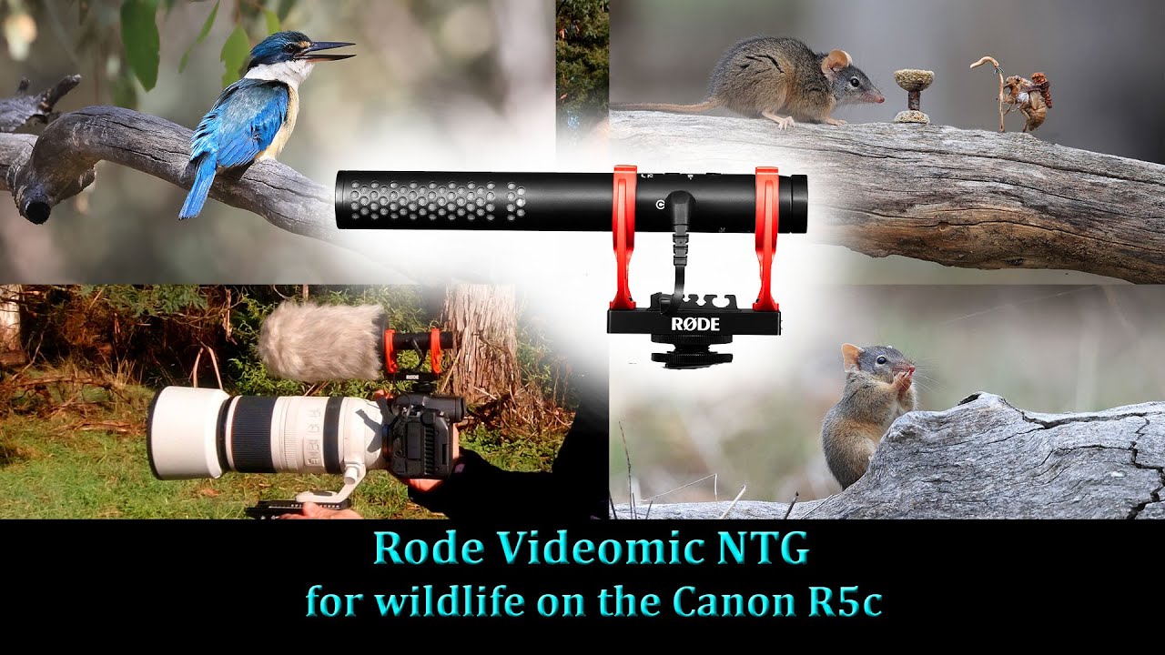 BEST Rode Videomic NTG FIX - No more clipping! - YouTube
